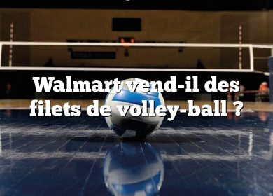Walmart vend-il des filets de volley-ball ?
